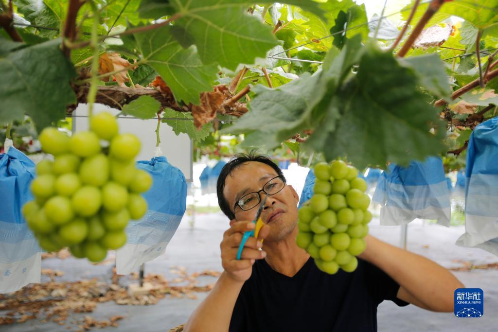 李逵捕鱼外挂